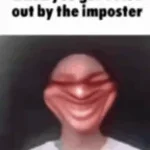 There is one impostor among us lower