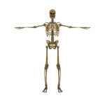 NOOOOOOOOOOOO!!!!!!!!!!!!!!!!!