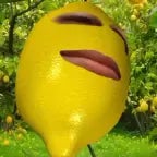 IS THAT GRAPHIC LEMON!!!!!!!