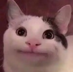 Psst screech sound effect (troll ur friend with this sound)