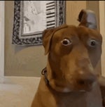 Astro toilet death speech