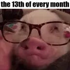 oh merde j'ai casser mes lunettes