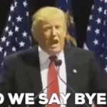 BYE BYE BYE Trump