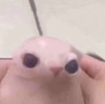 I KNEW THE PERC WAS FAKE BUT I STILL ATE IT