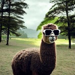 .... hey guys ....you