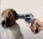 oh buddy dont get me started