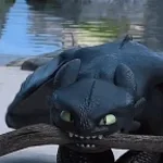 toothless whistle