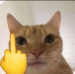 Happy birthday its your birthday lemon