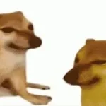 bonk*