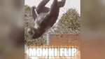 Monkey Flip