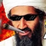 bin laden boom