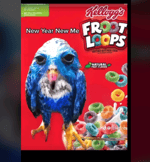 oh oh oh merry chirstmas