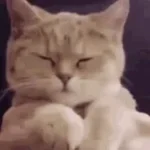 temptations jersey club