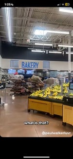 The Chill Guy speaks