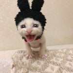 I said right foot  fast#shorts #memes