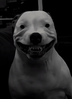 ich hab dir vertrut digga - Sound