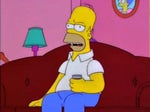 The Simpsons - Homer - You're all nuts!