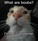 Femur breaker but the good part