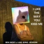 i like the way you kiss me