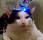 58004 мерзкая пародия на человека санекинг - Sound