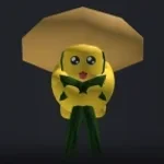 looping the babyboos