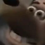 Tem algum ultimo desejo ?