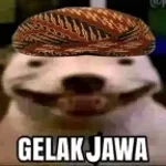 jawa monyet