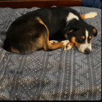 wth did i just see..