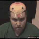 I'm a Snake MEME