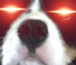 Bubble Guppies Outside Song