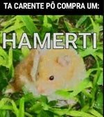 ta carente, compra um hamert