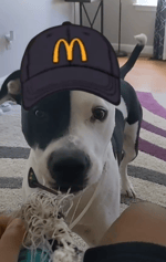 Spongebob Squarepants Oh My Goodness