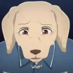 Solo porque soy un perro