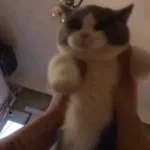 Wet kitty play ( short one ) (1) - Sound