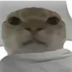 Wake Up Hajimi - 哈基米起床