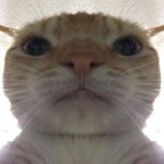 audio intro maker effect