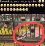 just listen okay you f****** n******