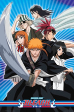 Bleach Ending