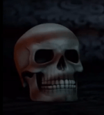 Number 5, The French Fries.