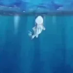 Recording 03/07/26 17:59:02