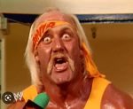 hulk hogan kids (wrestling)
