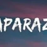 Paparazzi smaller gift
