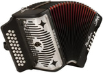 Through the Fire and Flames Accordion
