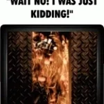 Molten FreddyChase Theme Bite By Night