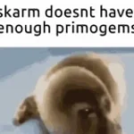 ssstik.io_1771722060570