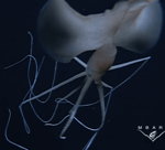 Trypophobia meme but S.L.O.W.E.D