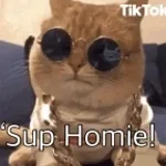 Recording 01/13/26 04:43:31