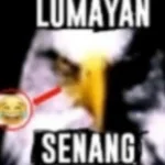 Secret Sound Fish It