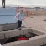 elephant green screen effect