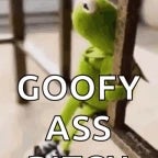 Certified Quandale Classic